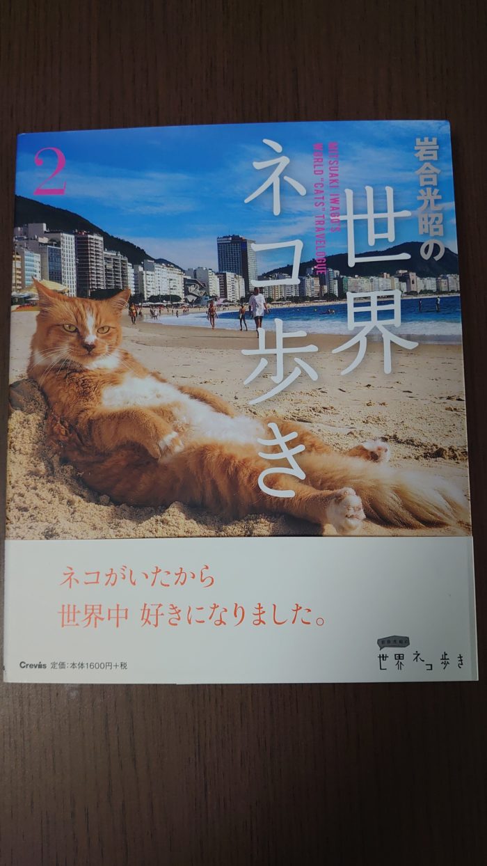 ねこ